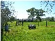 Mudgee NSW 2850