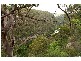 Picton NSW 2571