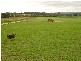 Cobbitty NSW 2570