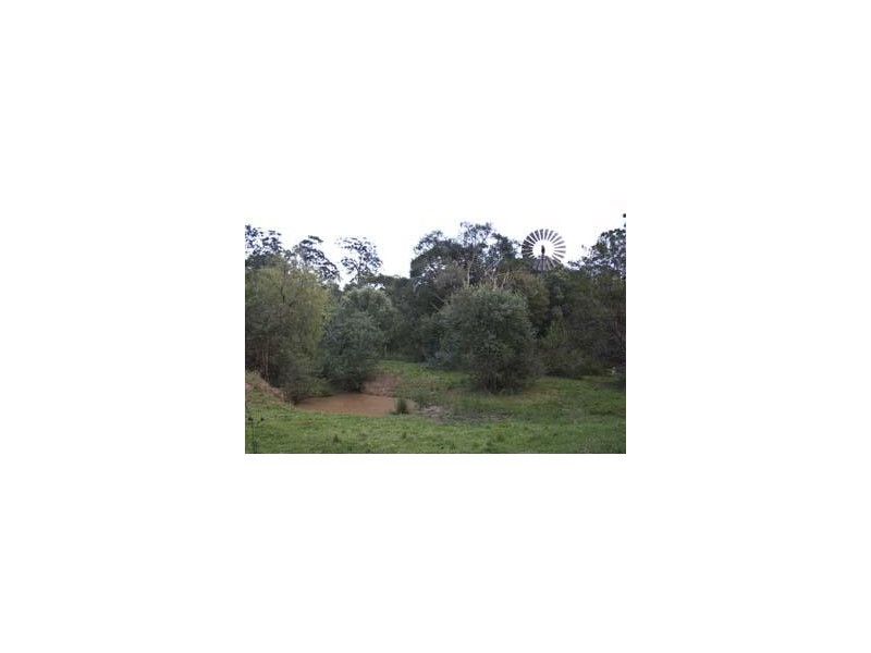 Razorback NSW 2571