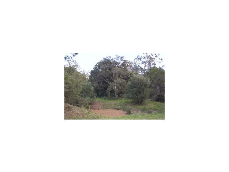 Razorback NSW 2571