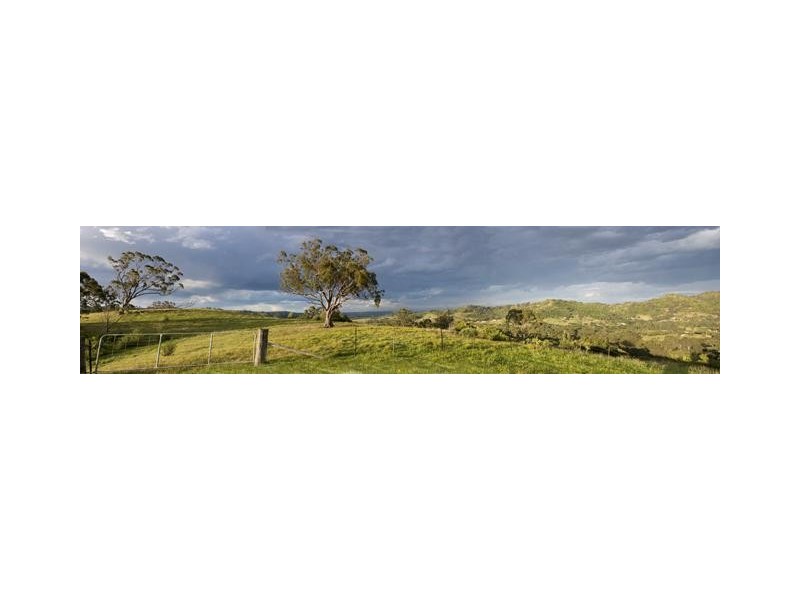 Razorback NSW 2571