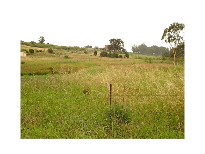 Currans Hill NSW 2567