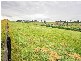 Grasmere NSW 2570