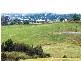 Grasmere NSW 2570