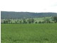 Segenhoe NSW 2337