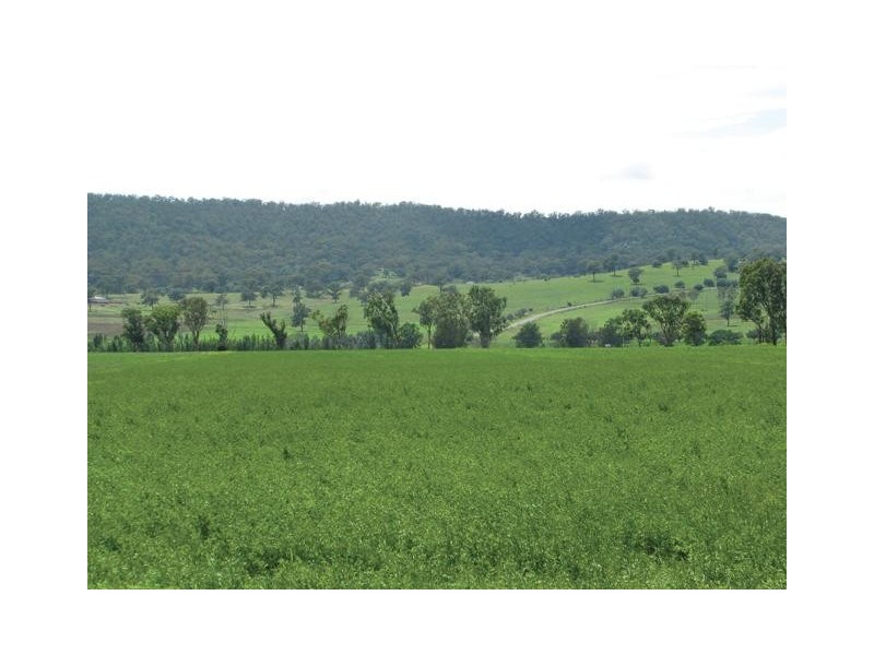 Segenhoe NSW 2337