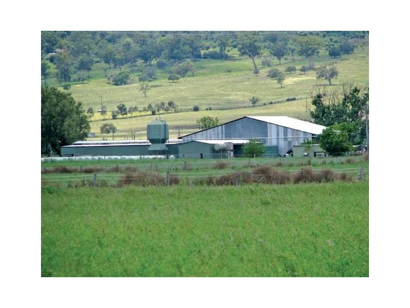 Segenhoe NSW 2337