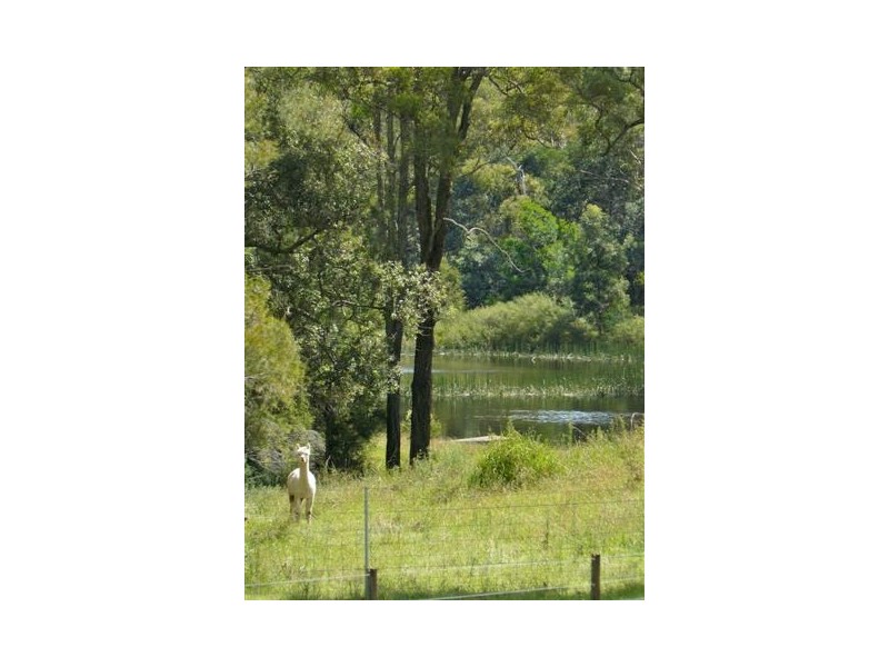 Wilton NSW 2571