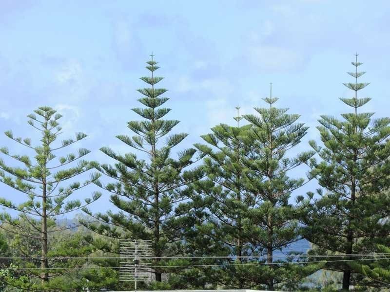 10 Alexandra Avenue, Broadbeach QLD 4218