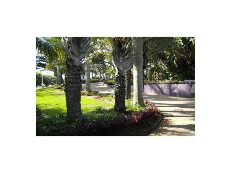 12 Commodore Drive, Surfers Paradise QLD 4217