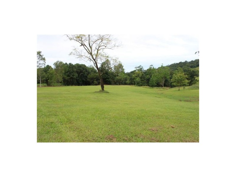 691 Nobbys Creek Road, Nobbys Creek NSW 2484