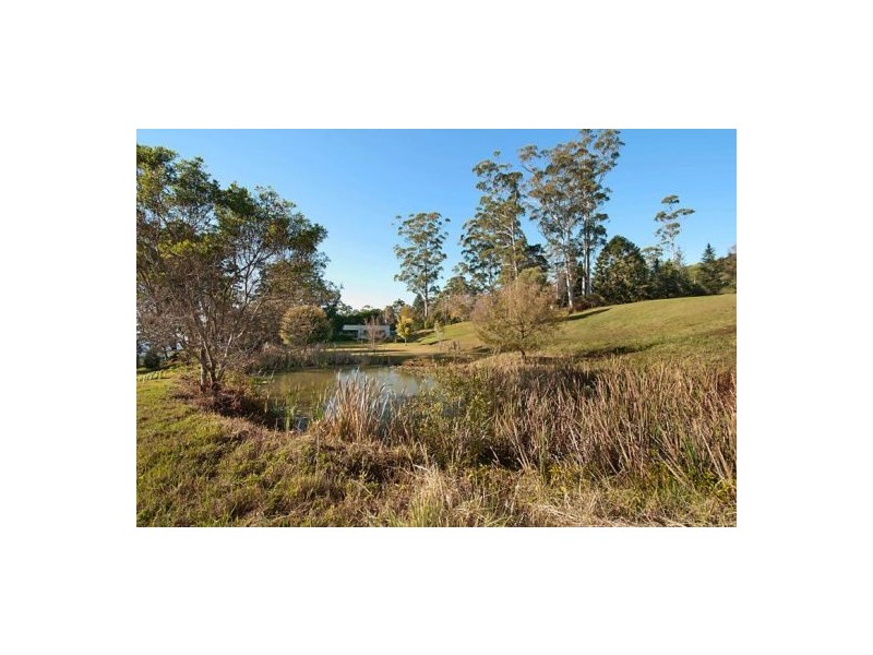 52 Freemans Road, Lower Beechmont QLD 4211