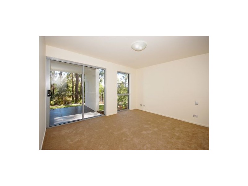 76 Bamboo Avenue (Tashey Court), Bundall QLD 4217
