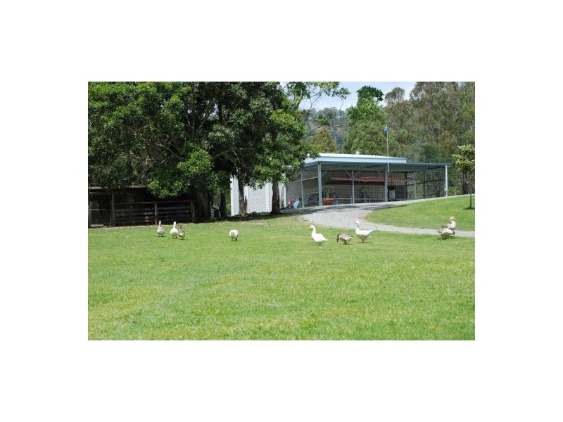 520 Cedar Creek Road ‘Joolim Joolim’, Cedar Creek QLD 4207