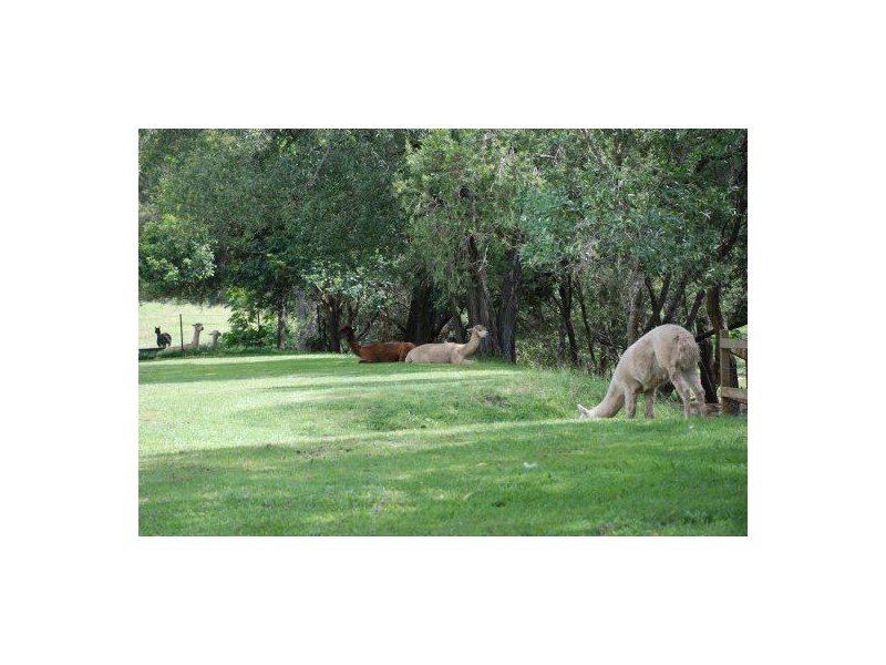 520 Cedar Creek Road ‘Joolim Joolim’, Cedar Creek QLD 4207