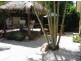 3 Wallaby Place, Sorrento QLD 4217