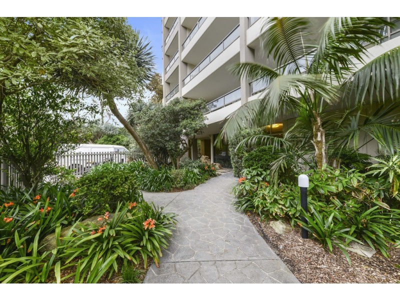 6/37 Paul Street, Bondi Junction NSW 2022