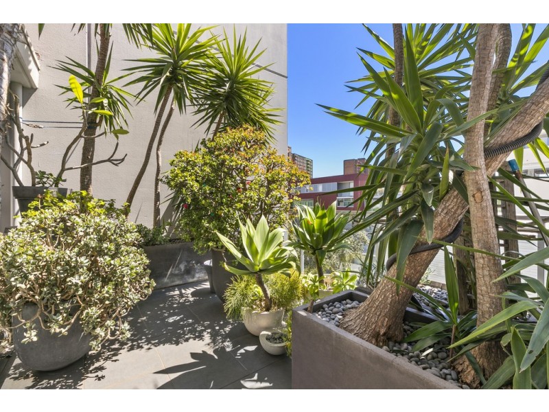 433/12 Danks Street, Waterloo NSW 2017