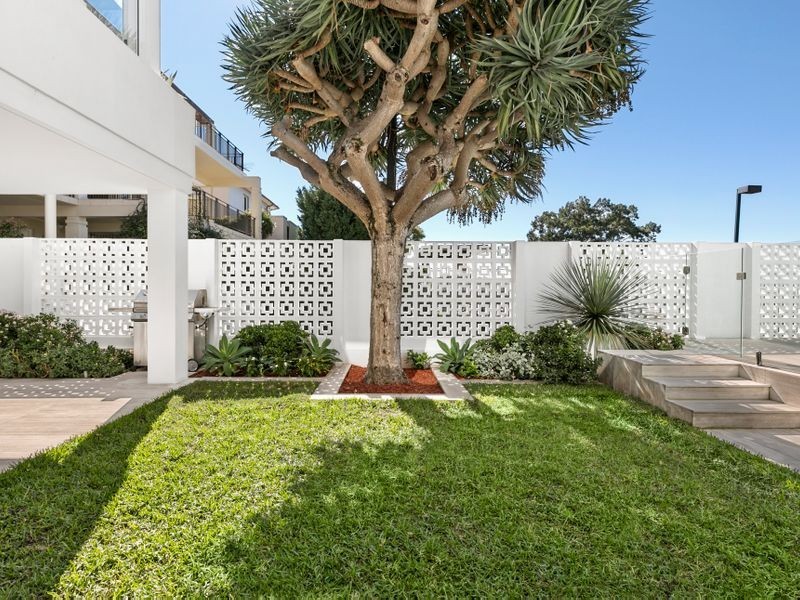 8 Carrington Avenue, Bellevue Hill NSW 2023