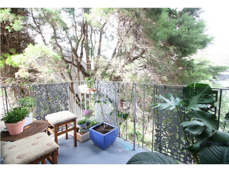 21/13 Campbell Avenue, Paddington NSW 2021