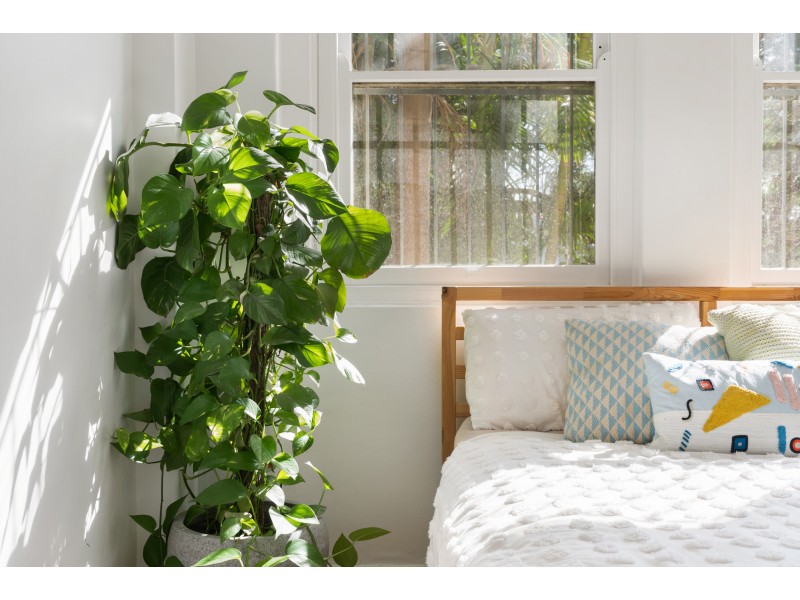 2/52a Sir Thomas Mitchell Road, Bondi Beach NSW 2026