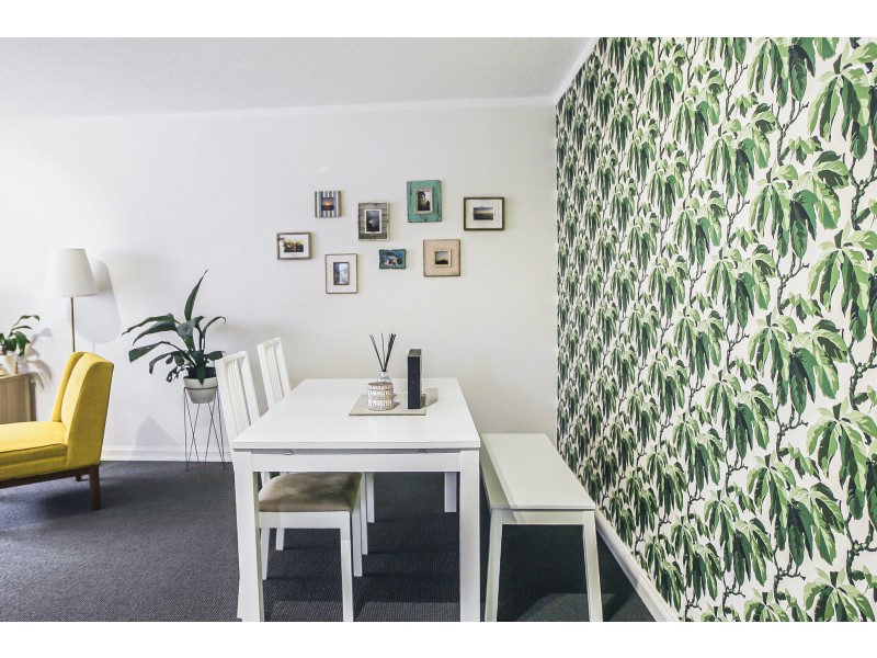 17/15 Wallis Parade, North Bondi NSW 2026