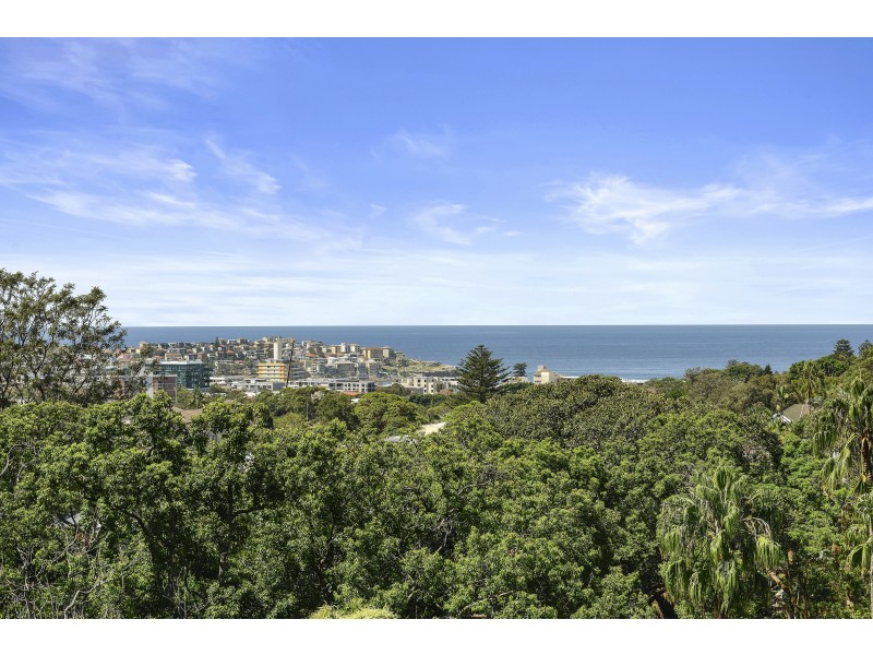 5/2B Penkivil Street, Bondi NSW 2026