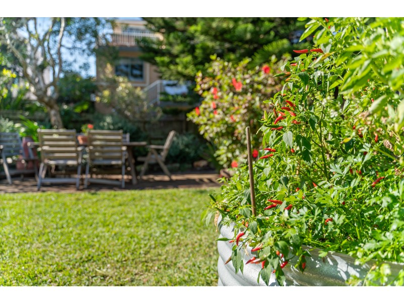 3/102 Ramsgate Avenue, Bondi Beach NSW 2026