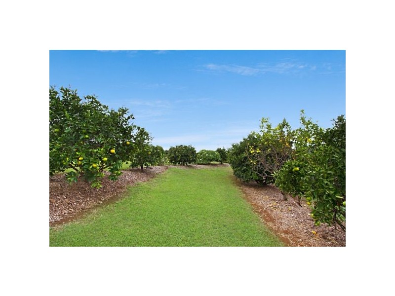 271 Hogans Road, Upper Duroby NSW 2486