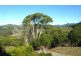 24 Vail Court, Bilambil Heights NSW 2486