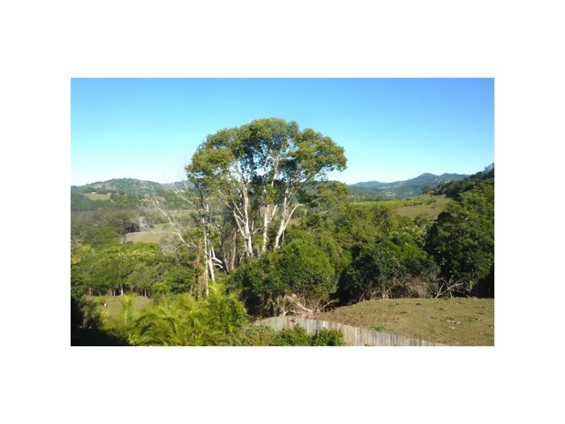 24 Vail Court, Bilambil Heights NSW 2486