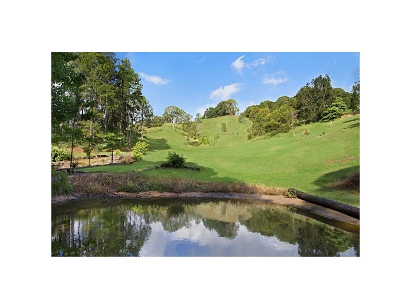 61 Green Valley Way, Piggabeen NSW 2486