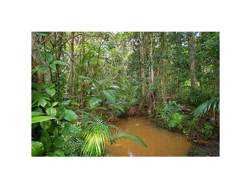 61 Green Valley Way, Piggabeen NSW 2486