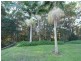 45 Piggabeen Rd, Tweed Heads West NSW 2485