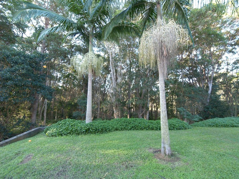 45 Piggabeen Rd, Tweed Heads West NSW 2485