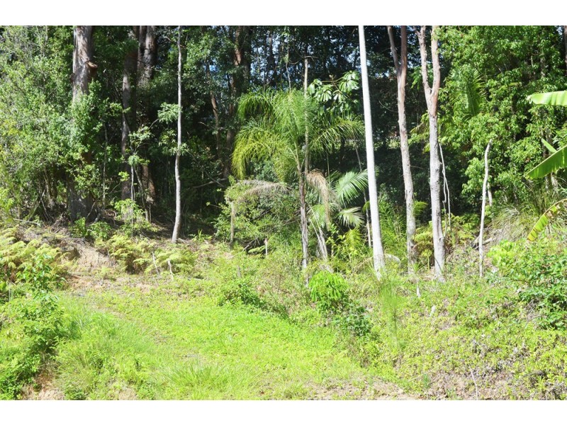 149 Carramar Drive, Tweed Heads West NSW 2485