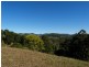 289 Piggabeen Road, Piggabeen NSW 2486