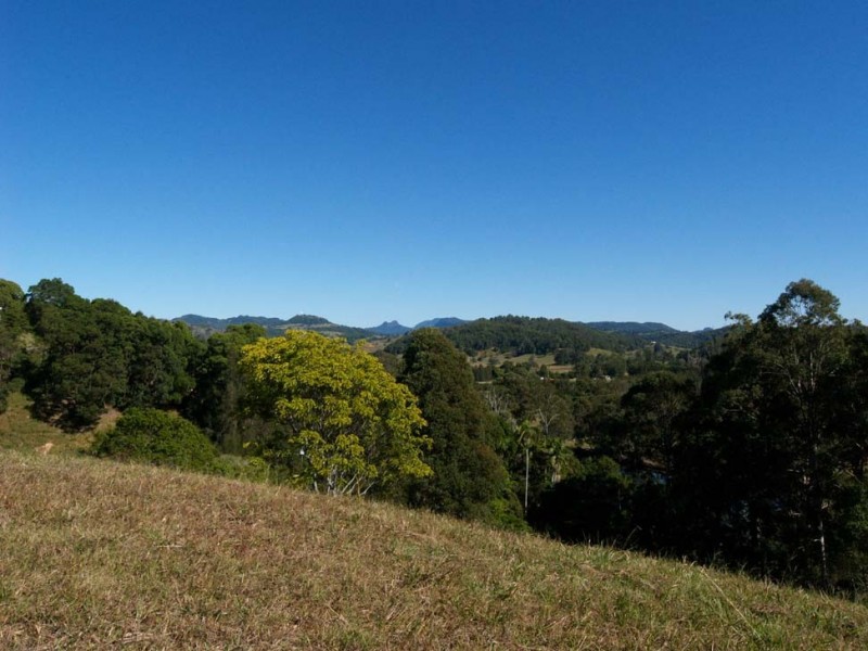 289 Piggabeen Road, Piggabeen NSW 2486
