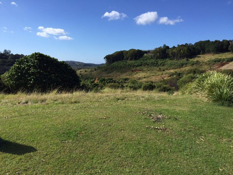 29 Shearer Court, Terranora NSW 2486