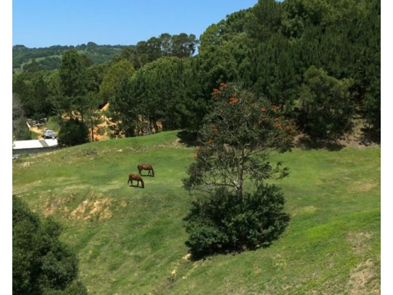 45 Green Valley Way, Piggabeen NSW 2486