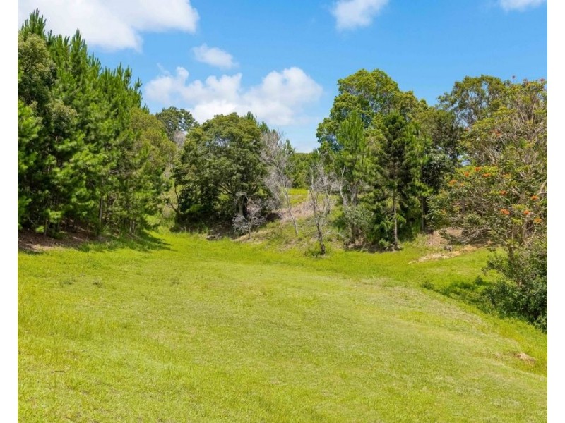 45 Green Valley Way, Piggabeen NSW 2486