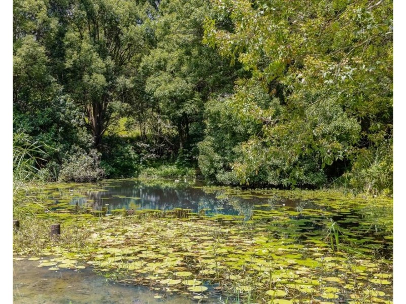 45 Green Valley Way, Piggabeen NSW 2486