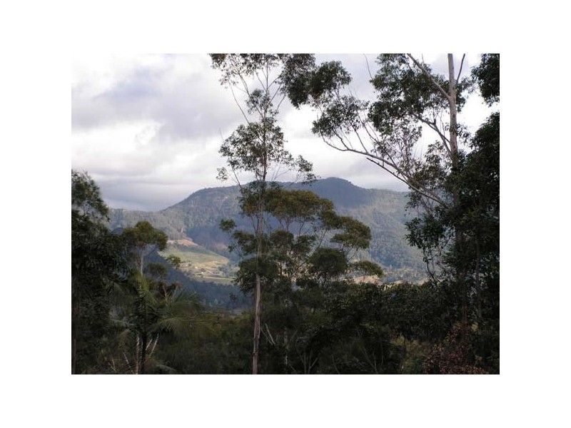 723 Rowlands Creek Rd, Uki NSW 2484