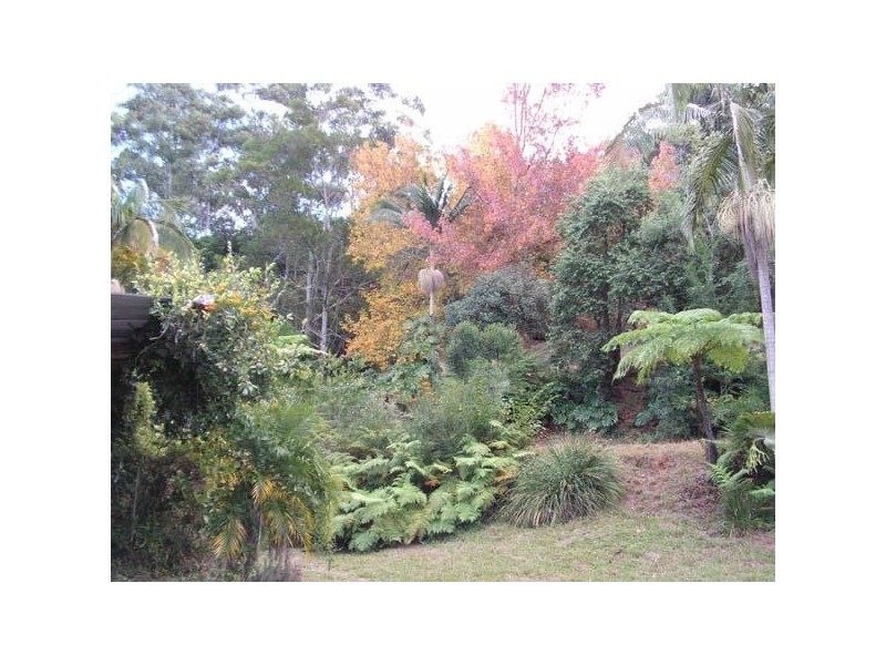 723 Rowlands Creek Rd, Uki NSW 2484