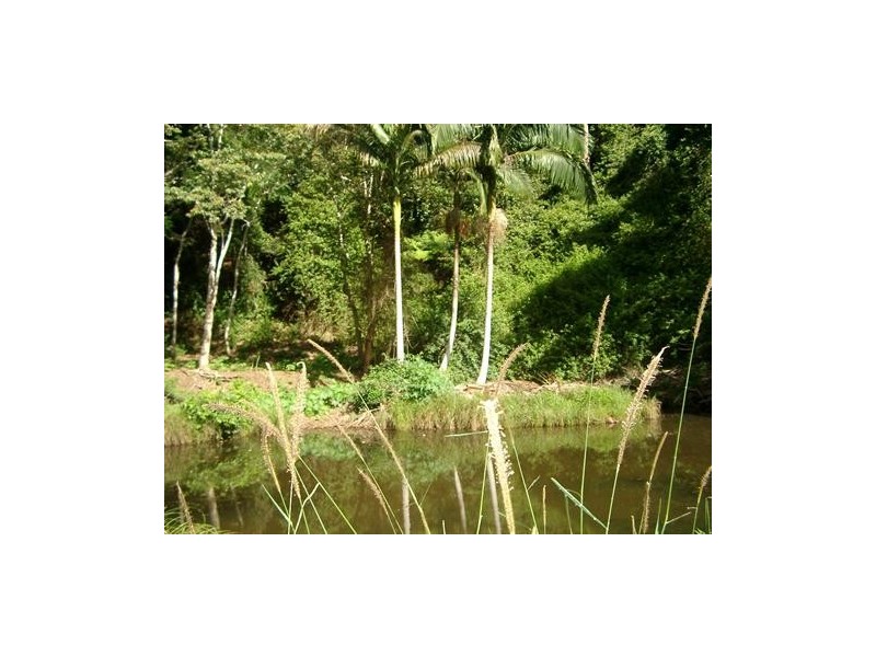 723 Rowlands Creek Rd, Uki NSW 2484