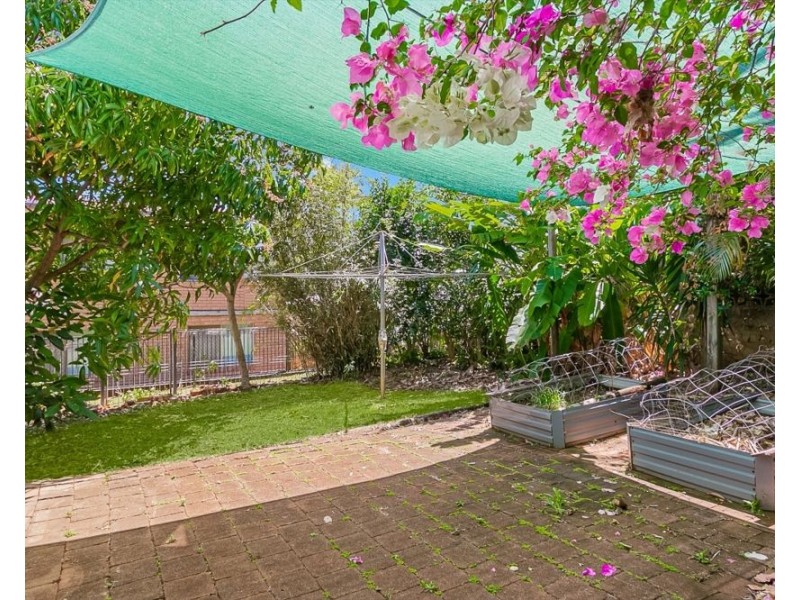 14 Hill Street (Rainbow Bay), Tweed Heads NSW 2485