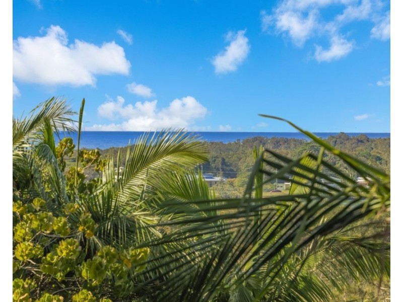 20 Bushland Drive, Banora Point NSW 2486