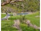 462 Urliup Road, Urliup NSW 2484