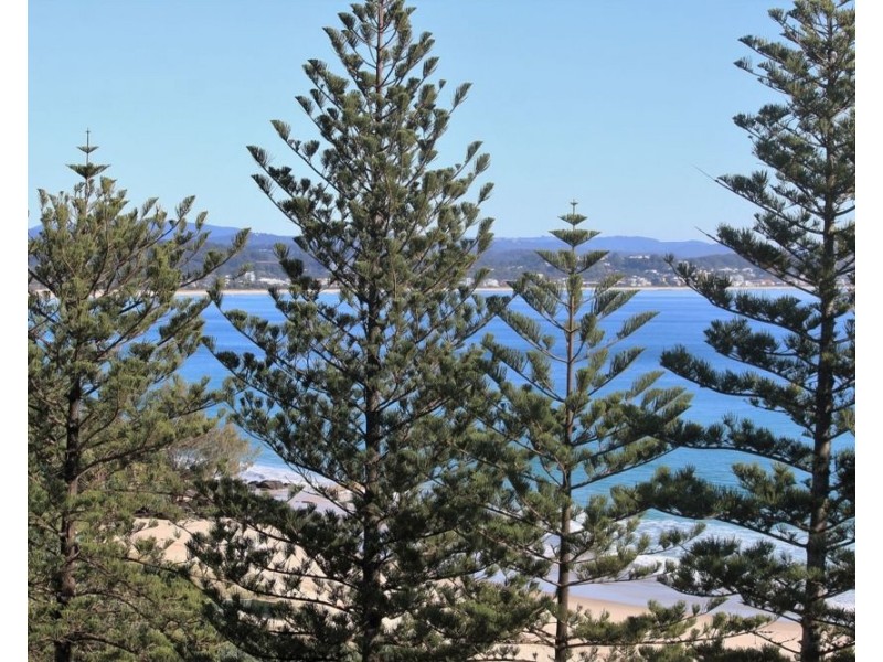 29/190 Marine Parade, Coolangatta QLD 4225